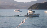 our fishing boat 'Puffin"